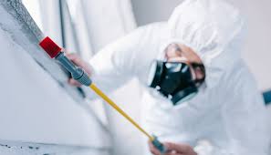 Best Pest Control for Hotels  in New Square, NY